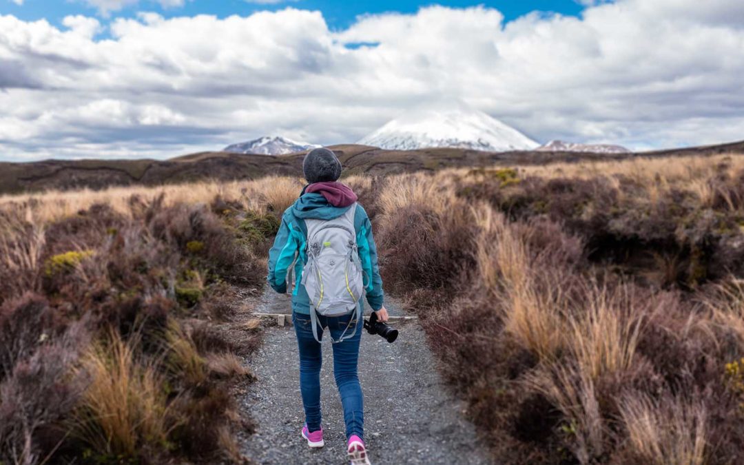 Q&A with Stephanie Velvin