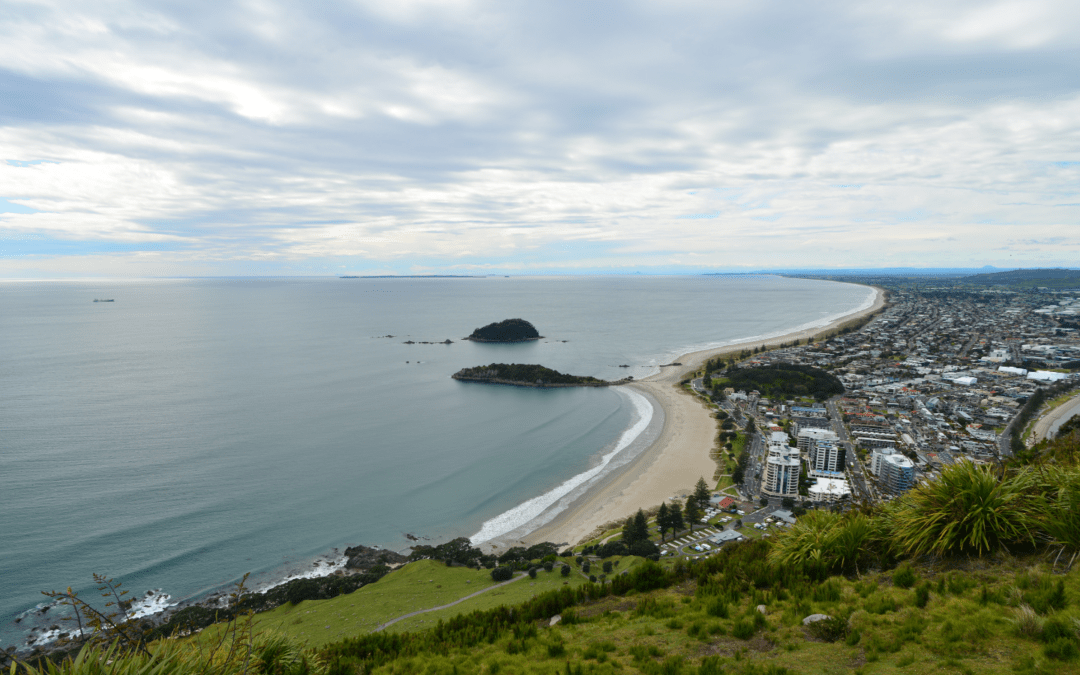 Boosting youth, DEIB in welcoming work: A Q&A with Haidee Kalirai of Tauranga, New Zealand (Aotearoa)