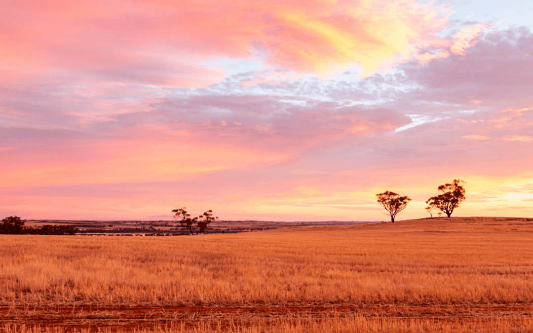 U.S., Australian participants selected for exchange program between rural communities